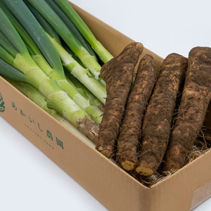 特産 大和芋(やまといも) + 長ねぎ セット