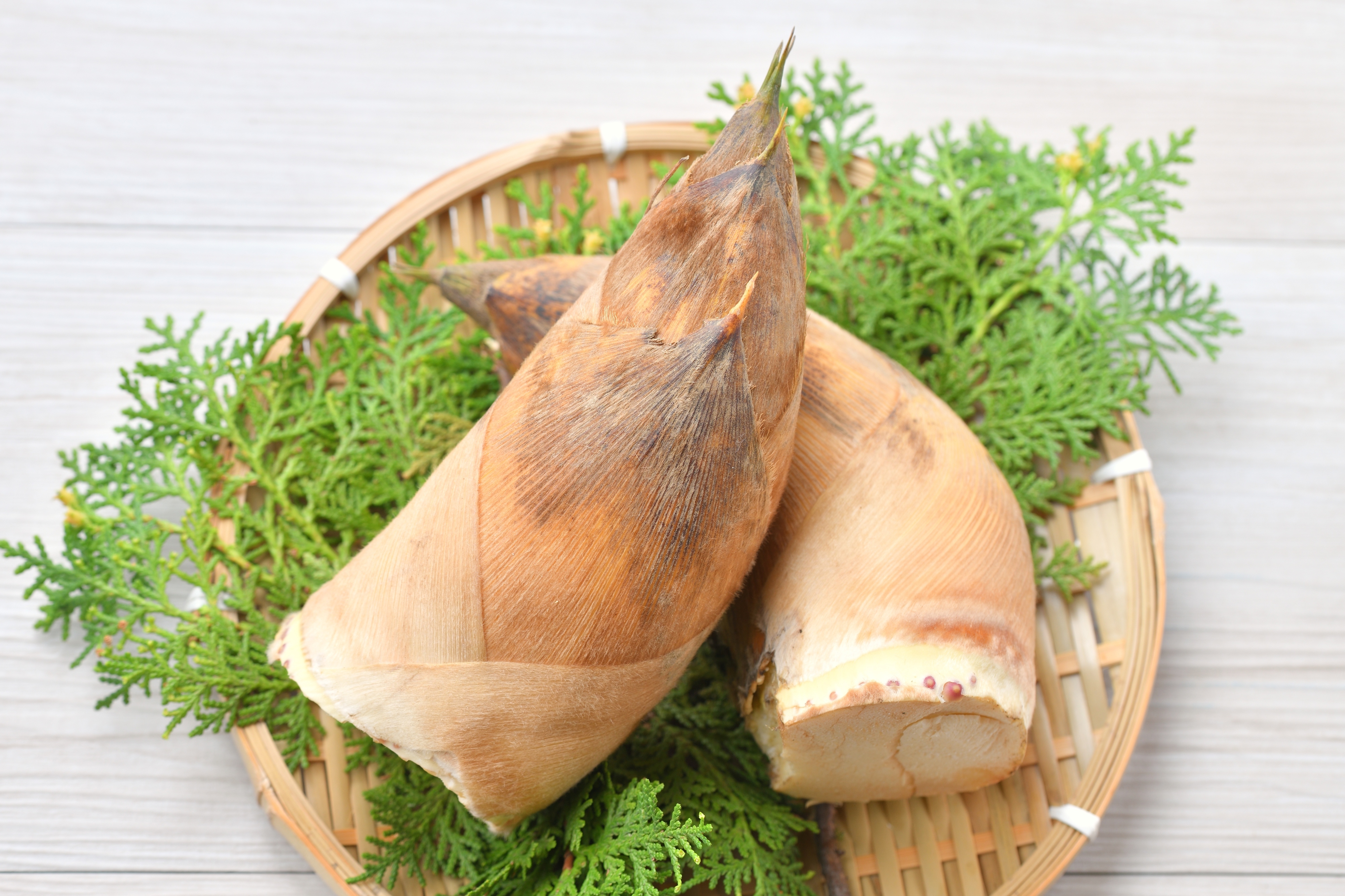 予約受付中】限定！熊本発！新鮮たけのこ お得☆4キロ｜タケノコの商品