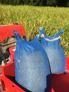 玄米  棚田米5キロ（有機肥料無農薬 ）