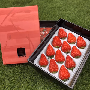 贈答用★厳選12粒　きららセット