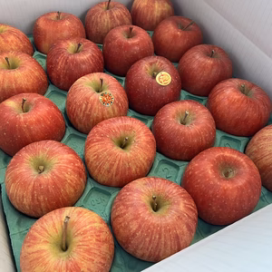 【家庭用】サンふじ 小玉　約5kg(20~23個）