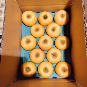 Sサイズなシナノゴールド  2箱限定！！