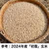 2024年産初霜【無農薬・無肥料・天日干し】