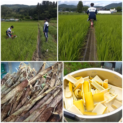 みんなの投稿の画像