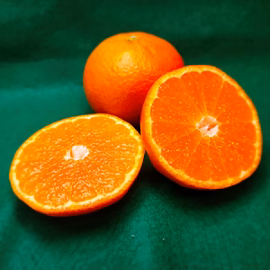 小粒　完熟ゆら早生　超薄皮　極甘　酸と甘さのベストバランス　低温熟成