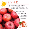 りんご ふじ 3kg 5kg 10kg お得りんごりんご酢  美味しいリンゴ 