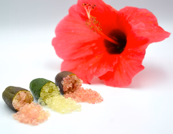 【今だけセール！】Inoフィンガーライム　バラエティパック50g(4〜7本）