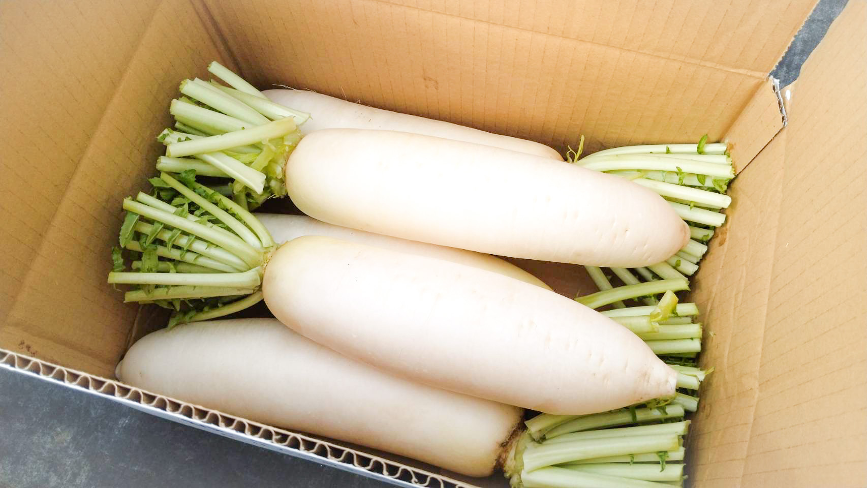 甘みと香りが立つ、島原の秋採れだいこん♪｜大根の商品詳細｜ポケット