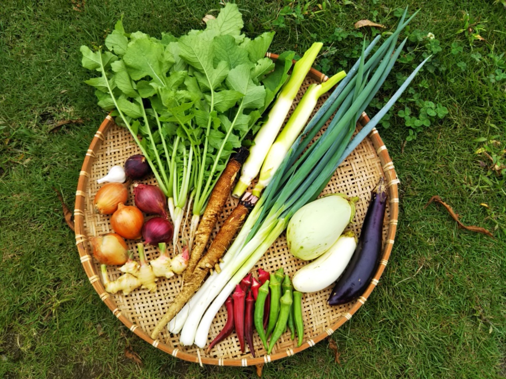 京都府福知山からお届け 自然栽培の秋野菜セット 農家漁師から産地直送の通販 ポケットマルシェ