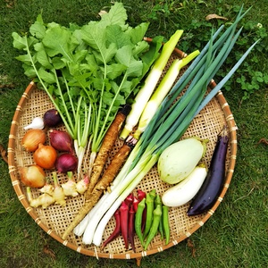 京都府福知山からお届け！自然栽培の旬の野菜セット！！