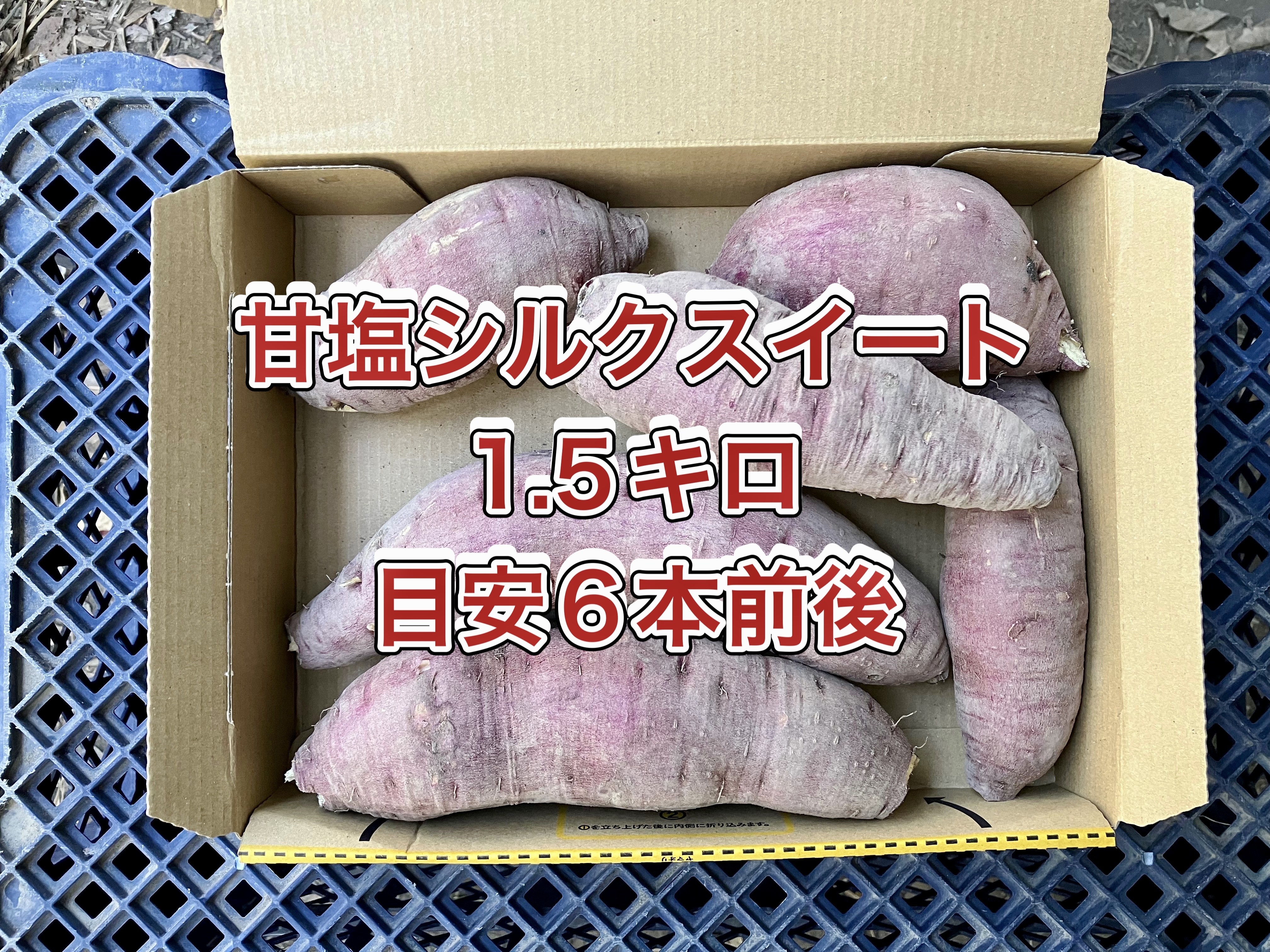 箱込み5kg シルクスイート