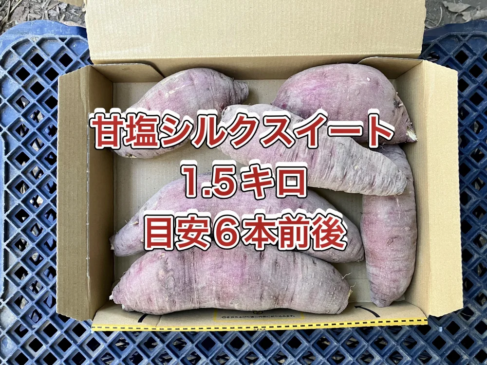 【鹿児島産】甘塩シルクサツマイモ箱込み1.5キロ^_^