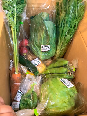 みんなの投稿の画像