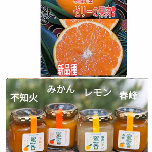 有田ゴールド付】誕生!プルプル食感【プリマレーヌ】ゼリー果肉！＆4種マーマー