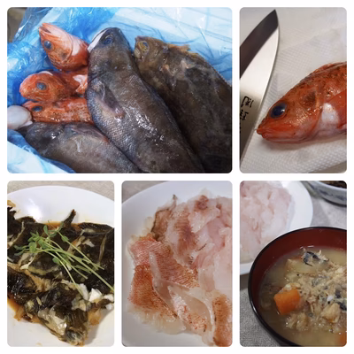 みんなの投稿の画像