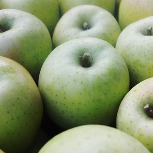 王林　昔ながらの甘い青りんごの代表【スタンダード品】