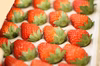 【ケーキなど飾りに最適】完熟 採れたていちご（M～２Lサイズ）