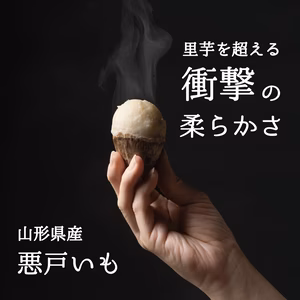 2箱セット 山形県伝統野菜悪戸芋(里芋) 皮剥き真空(冷凍)400g×4袋