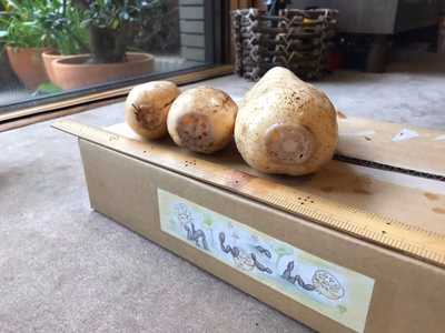 みんなの投稿の画像