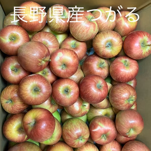 訳ありサンつがる12キロ