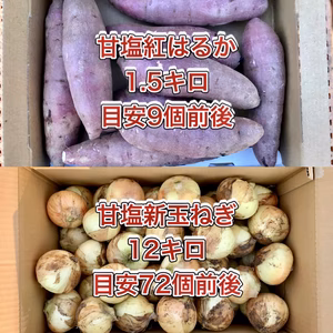 【鹿児島産】甘塩新玉ねぎ12キロ・甘塩サツマイモ1.5キロ^_^
