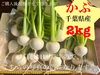今が旬！　千葉県産　かぶ　2kg 収穫した日に発送