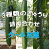 3種類のキュウリの詰め合わせ【クール冷蔵】