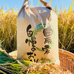 【新米】コシヒカリ 15㎏