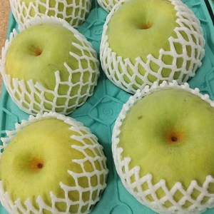 【数量限定】かおり梨 千葉県船橋市産♡食べたらトリコ