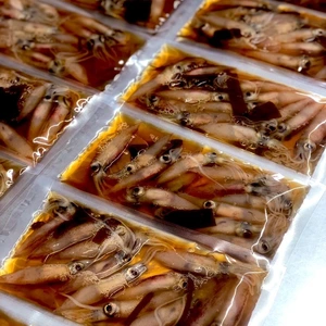 富山ホタルイカ沖漬け3pc〜　鮮度を感じる食感と大きさ！　