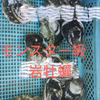 【数量限定】☆モンスター☆からふさ岩牡蠣
