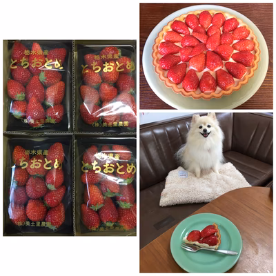 みんなの投稿の画像