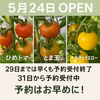 甘みの個性を楽しむ♪3種の完熟ミニトマト食べ比べセット