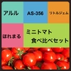 ●2回目以降●【川上農園】ミニトマト　4品種食べ比べセット✨　茨城県産