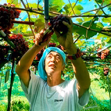 斎藤寛幸 | 齋藤農園