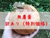 【訳あり特別価格】無農薬玉ねぎ★甘み＆旨み（千葉産・特大）