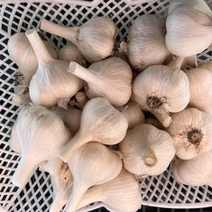 青森県産にんにく(小)1kg