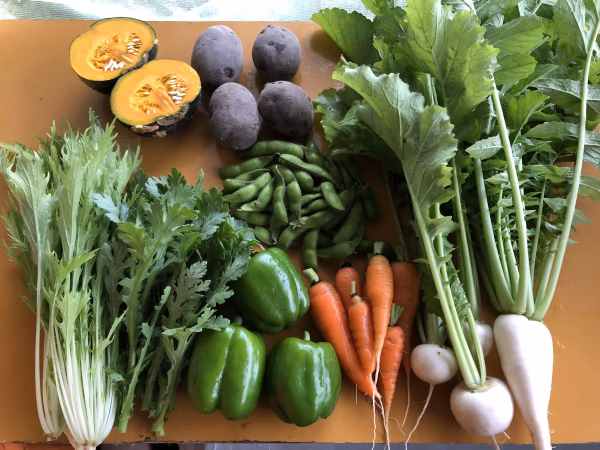 季節の野菜セット【月1回定期便】