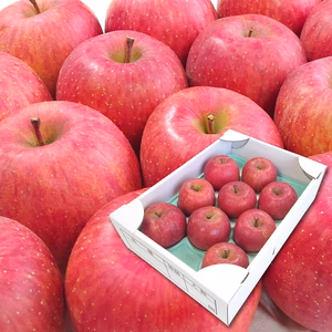 【送料無料】山形県産 大玉サンふじ りんご 3kg (7～9玉入）