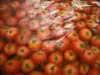 【無添加・無農薬・無化学肥料】００％ピュア・スイート・トマトジュース２０本セット