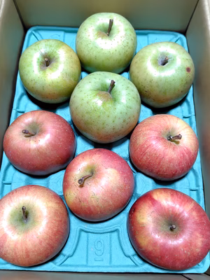 みんなの投稿の画像