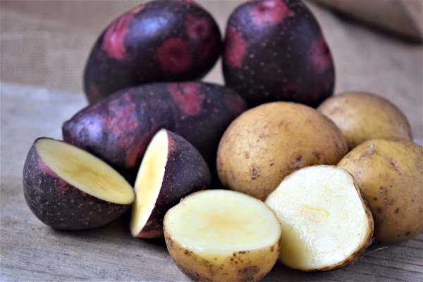 ユニーク新じゃがいも5種食べくらべセット！栽培期間中農薬不使用