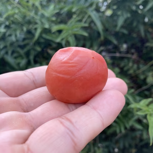 百樹梅　梅農家のこだわり　昔ながらの手作り梅干し