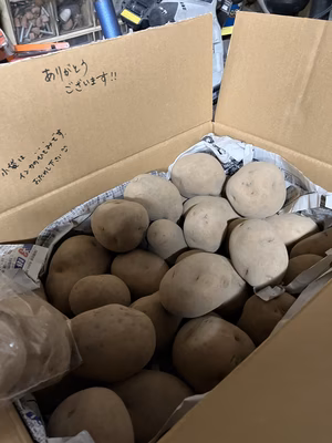 みんなの投稿の画像