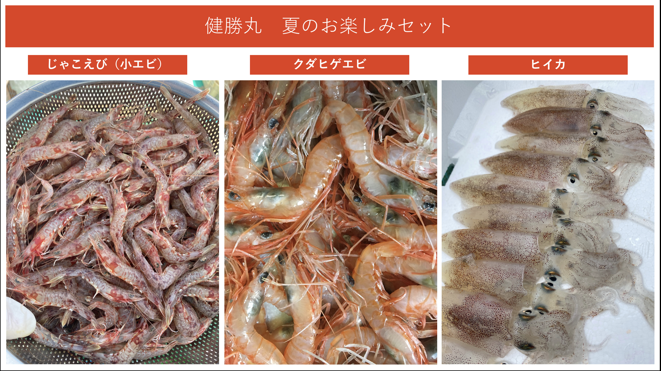 夏のお楽しみセット ジャコエビ250g 2 クダヒゲエビ250g ヒイカ250g 農家漁師から産地直送の通販 ポケットマルシェ