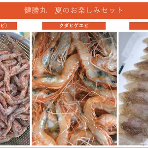夏のお楽しみセット ジャコエビ250g×2、クダヒゲエビ250g、ヒイカ250g
