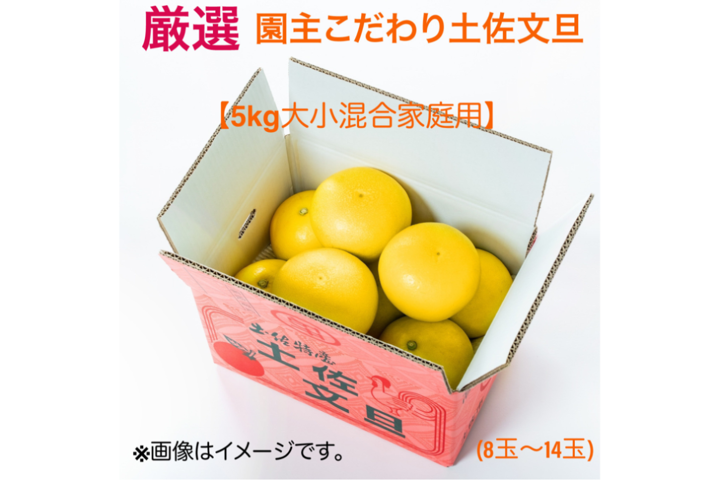 熊本県産パール柑６個入り大玉サイズ４kg - 果物