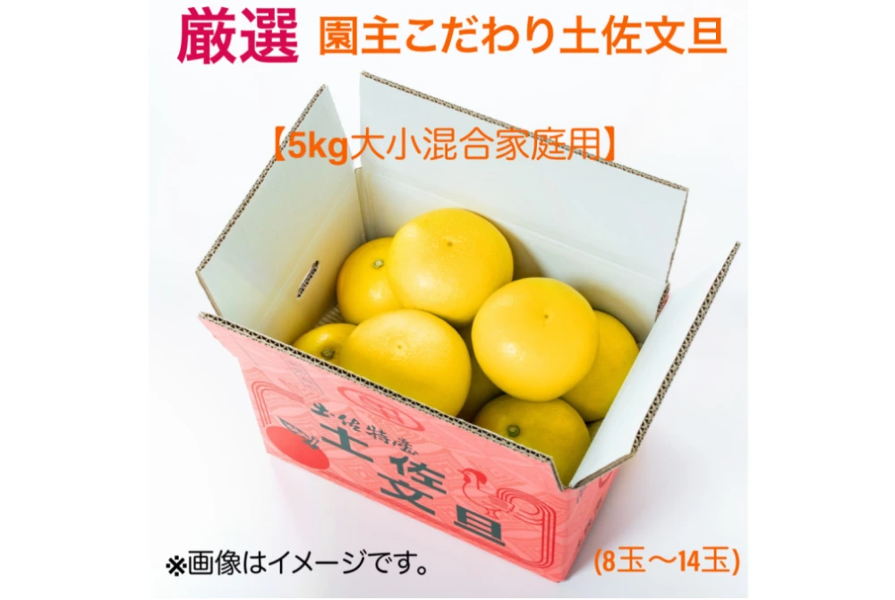 新発売】厳選 園主こだわり土佐文旦5kg大小混合【家庭用】｜果物の商品