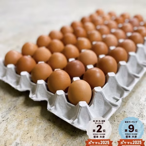 大きめ宮たま(赤)×40個　味と鮮度にこだわりアリ！