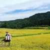 【毎月白米4.5kg2袋】環境保全米コシヒカリ